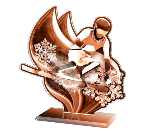 Akrylátová trofej AWF M72 | Sjezdové lyžování Výška cm: 15,5 - Šířka cm: 14,5 - stříbrná