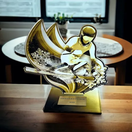 Akrylátová trofej AWF M72 | Sjezdové lyžování Výška cm: 15,5 - Šířka cm: 14,5 - stříbrná