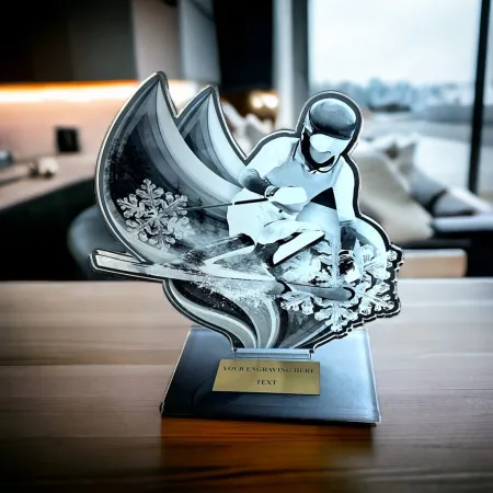 Akrylátová trofej AWF M72 | Sjezdové lyžování Výška cm: 15,5 - Šířka cm: 14,5 - stříbrná