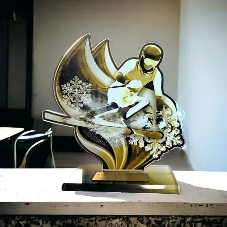 Akrylátová trofej AWF M72 | Sjezdové lyžování Výška cm: 15,5 - Šířka cm: 14,5 - stříbrná