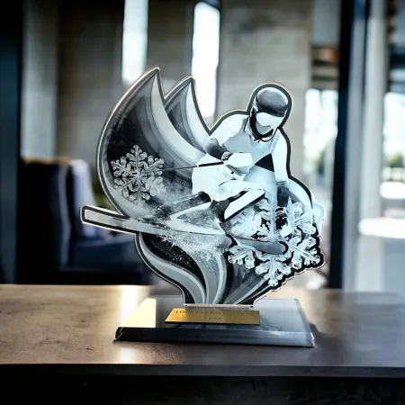 Akrylátová trofej AWF M72 | Sjezdové lyžování Výška cm: 15,5 - Šířka cm: 14,5 - stříbrná