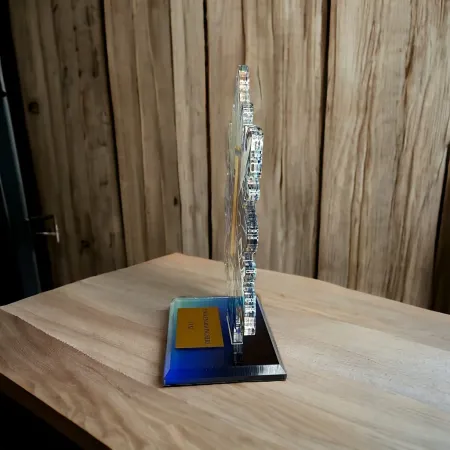 Akrylátová trofej AWF M79 | Zima Výška cm: 21,5 - Šířka cm: 20,5 - bronzová