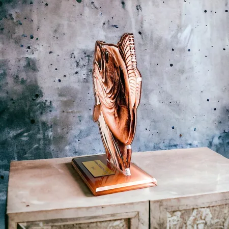 Akrylátová trofej AWF M85 | Rybaření Výška cm: 13,5 - Šířka cm: 12,5 - bronzová