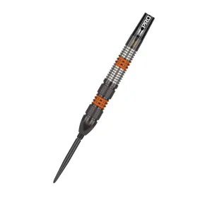 Target - darts Šipky Steel Raymond van Barneveld - Black Edition - Swiss Point - 23g