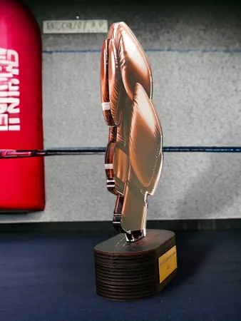 Akrylátová trofej TLR2023308 | Bojová umění TLR2023308A