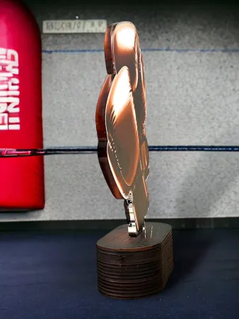 Akrylátová trofej TLR2023308 | Bojová umění TLR2023308A