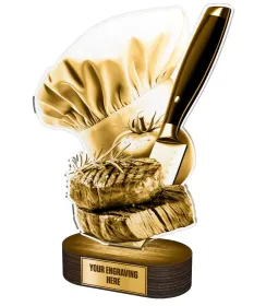 Akrylátová trofej TLR2023348 | Kuchyně Výška: 28cm
