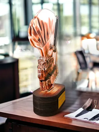 Akrylátová trofej TLR2023350 | Kuchyně Výška: 28cm