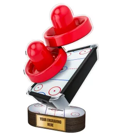 Akrylátová trofej TL2023235 | Stolní hokej Výška: 31cm