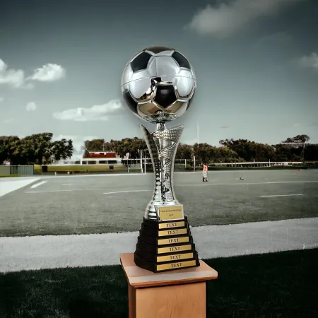 Pohár fotbal TLS2024/06 | Fotbal Výška cm: 42