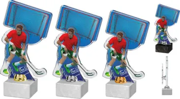 Akrylátová trofej ACTD005M2 | Florbal Výška cm: 28, Barva: zlato, Podstavec: bílý