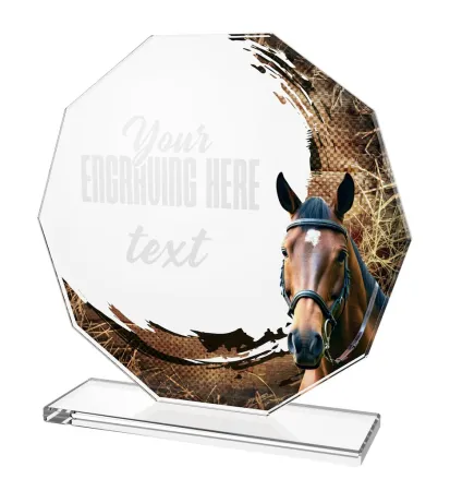 Skleněná trofej CR2024301M37 Výška cm: 17, BRONZ