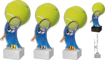 Akrylátová trofej ACTD0014M4 Výška cm: 23,5, Barva: stříbro, Podstavec: bílý