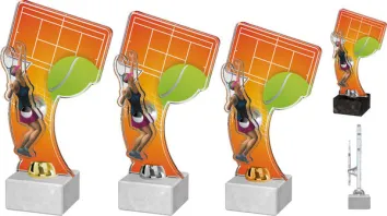 Akrylátová trofej ACTD0017M3 Výška cm: 25, Barva: stříbro, Podstavec: bílý