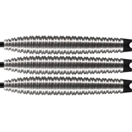 Shot Šipky Steel Zen Dojo - 25g