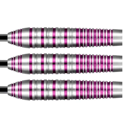 Shot Šipky Steel Zen Juji - 24g