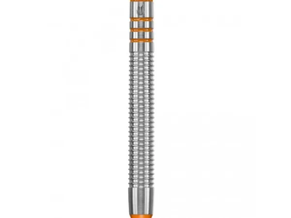 Target - darts Šipky Raymond van Barneveld - 8Zero - Barney - 18g