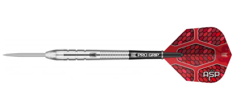 Target - darts Šipky Steel Nathan Aspinall - 24g