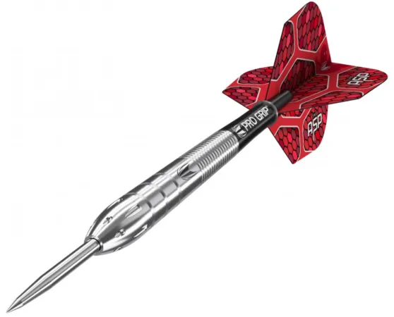 Target - darts Šipky Steel Nathan Aspinall - 24g