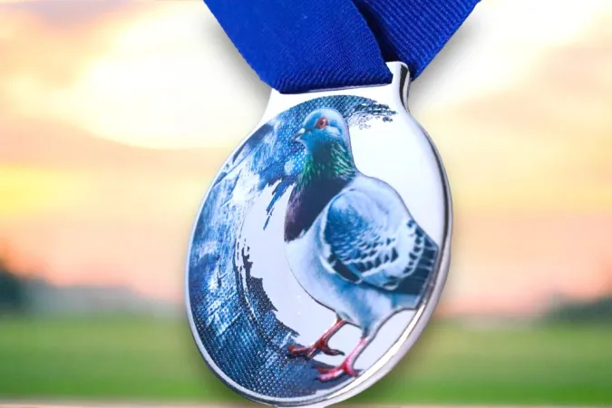 Medaile MDLMIDM09 | Chovatelství Barva: bronz, Stuha: ST11