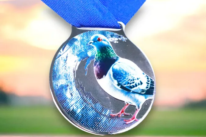 Medaile MDLMIDM09 | Chovatelství Barva: bronz, Stuha: ST11