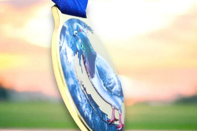 Medaile MDLMIDM09 | Chovatelství Barva: bronz, Stuha: ST11