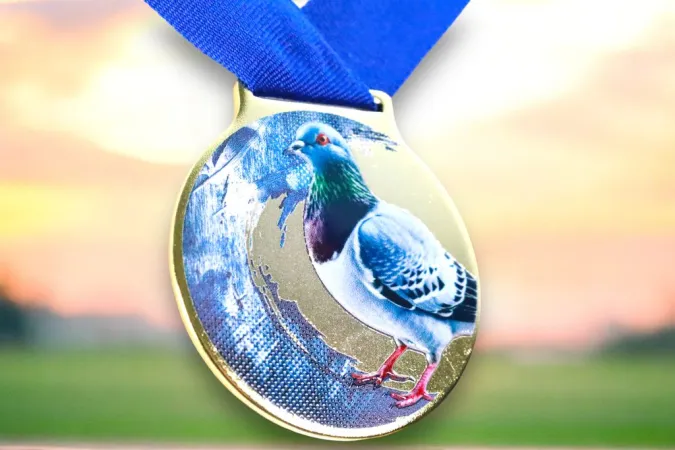 Medaile MDLMIDM09 | Chovatelství Barva: bronz, Stuha: ST11