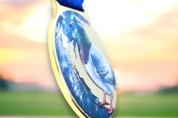 Medaile MDLMIDM09 | Chovatelství Barva: bronz, Stuha: ST11