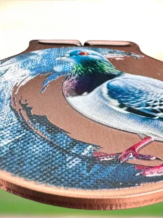 Medaile MDLMIDM09 | Chovatelství Barva: bronz, Stuha: ST11