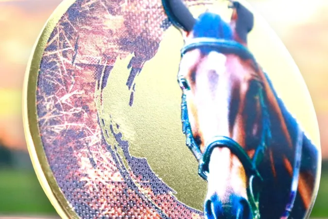 Medaile MDLMIDM11 | Jezdectvi Barva: stříbro, Stuha: ST3