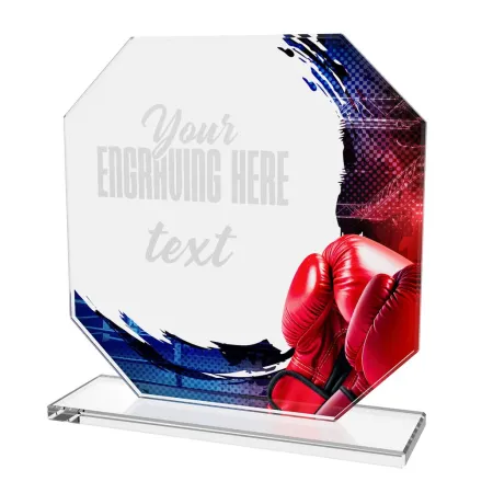 Skleněná trofej CR2024302M12 | Bojová umění Výška cm: 17, STŘÍBRO