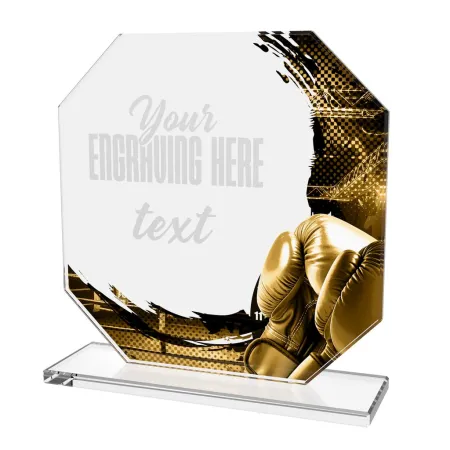 Skleněná trofej CR2024302M12 | Bojová umění Výška cm: 17, STŘÍBRO