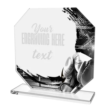 Skleněná trofej CR2024302M12 | Bojová umění Výška cm: 17, STŘÍBRO