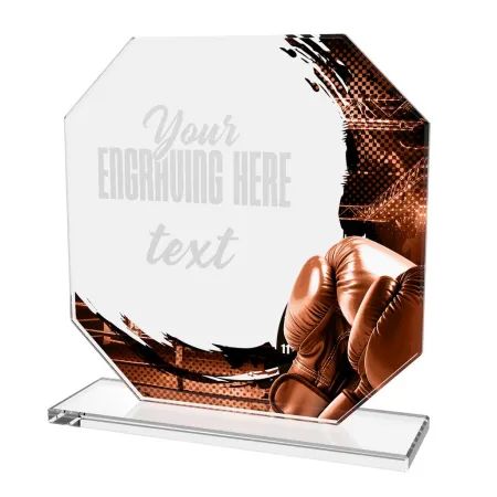 Skleněná trofej CR2024302M12 | Bojová umění Výška cm: 17, STŘÍBRO