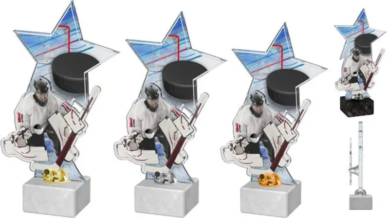 Akrylátová trofej ACTH0001M3 | Hokej Výška cm: 28, Barva: zlato, Podstavec: černý