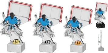 Akrylátová trofej ACTH0002M5 | Hokej Výška cm: 28, Barva: stříbro, Podstavec: bílý