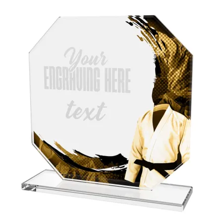 Skleněná trofej CR2024302M43 | Bojová umění Výška cm: 17, BRONZ