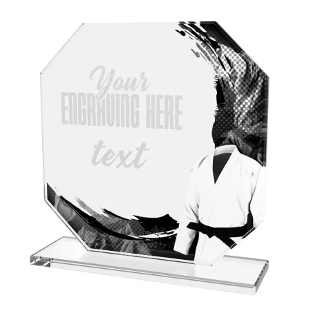 Skleněná trofej CR2024302M43 | Bojová umění Výška cm: 17, BRONZ