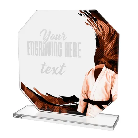 Skleněná trofej CR2024302M43 | Bojová umění Výška cm: 17, BRONZ