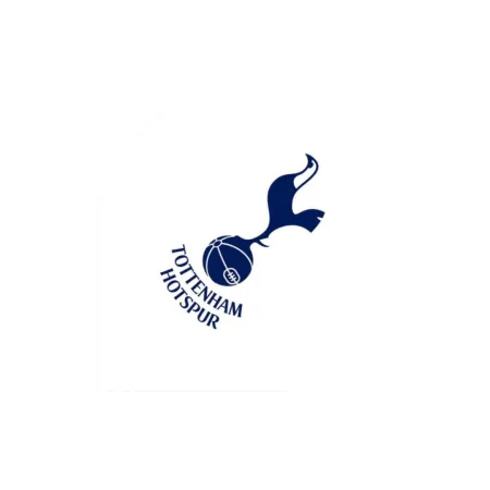 Mission Letky Football - Tottenham Hotspur FC - F1 - White Logo - F4498
