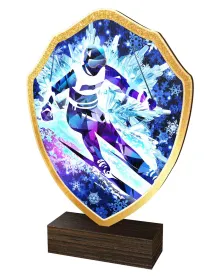 Dřevěná plaketa TFRW253 | Sjezdové lyžování Výška cm: 16