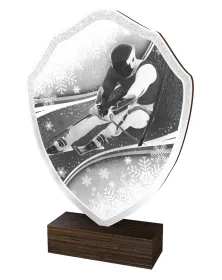 Dřevěná plaketa TFRW275 | Sjezdové lyžování Výška cm: 20