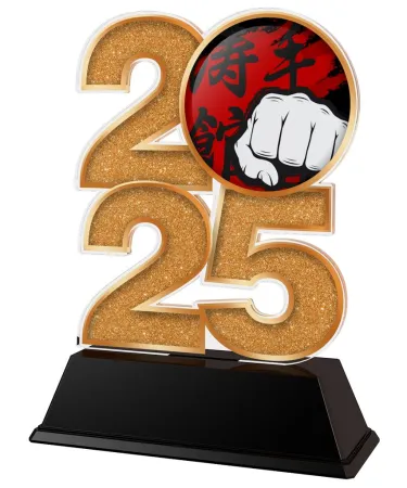 Akrylátová trofej C2025M14 | Bojová umění Výška cm: 8.5, Šířka cm: 5, zlato