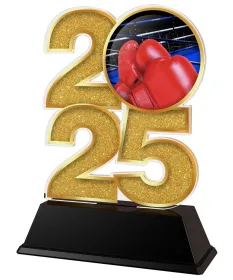 Akrylátová trofej C2025M25 | Bojová umění Výška cm: 12, Šířka cm: 7.5, stříbro