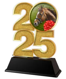 Akrylátová trofej C2025M31 | Jezdectví Výška cm: 17,5, Šířka cm: 12,5, zlato