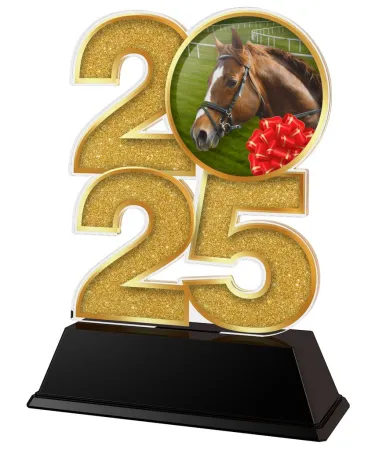 Akrylátová trofej C2025M31 | Jezdectví Výška cm: 8.5, Šířka cm: 5, bronz