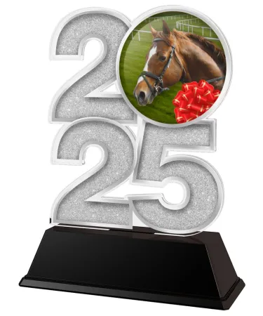 Akrylátová trofej C2025M31 | Jezdectví Výška cm: 8.5, Šířka cm: 5, bronz