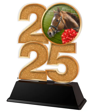 Akrylátová trofej C2025M31 | Jezdectví Výška cm: 8.5, Šířka cm: 5, bronz