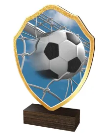 Dřevěná plaketa TFRW308 | Fotbal Výška cm: 11,5