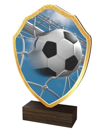 Dřevěná plaketa TFRW308 | Fotbal Výška cm: 20